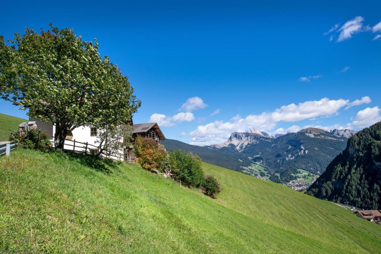 Agriturismo Apartments Tuene 奥蒂塞伊 外观 照片