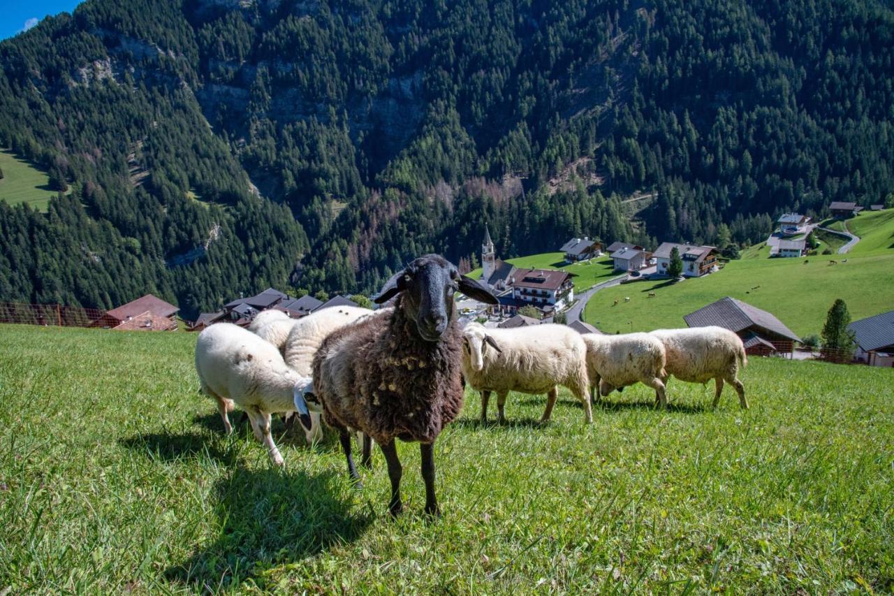 Agriturismo Apartments Tuene 奥蒂塞伊 外观 照片